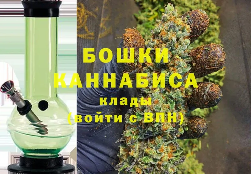 дарнет шоп  Среднеуральск  Бошки марихуана OG Kush 